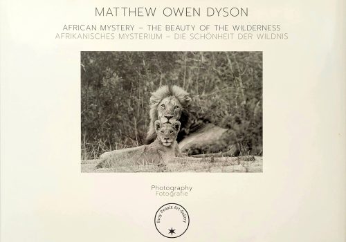 Mathew Book Mathew Book