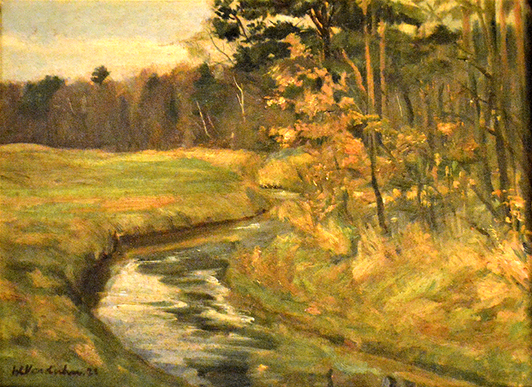 A field with stream at the edge of the forest