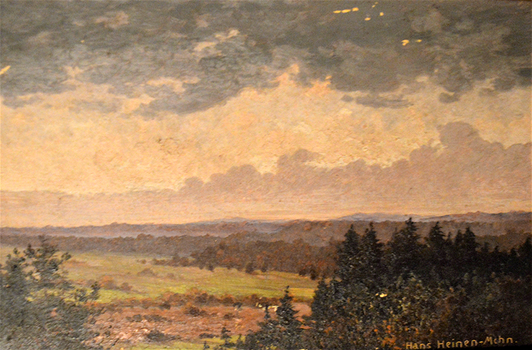 Landscape with coniferous forests