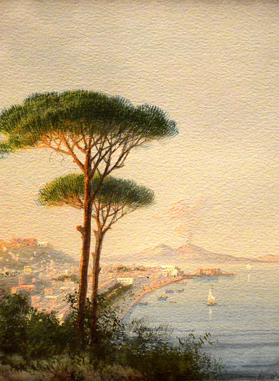 Die Bäume an der Küste