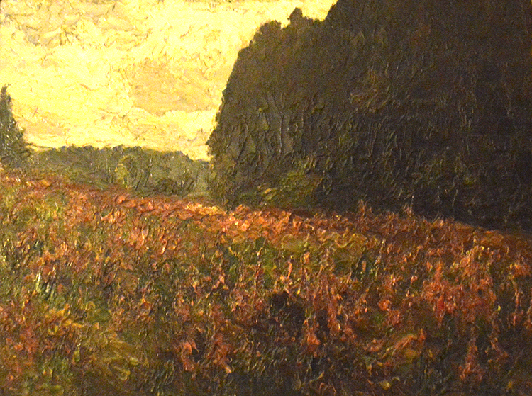 Ein Feld voller roter Mohnblumen